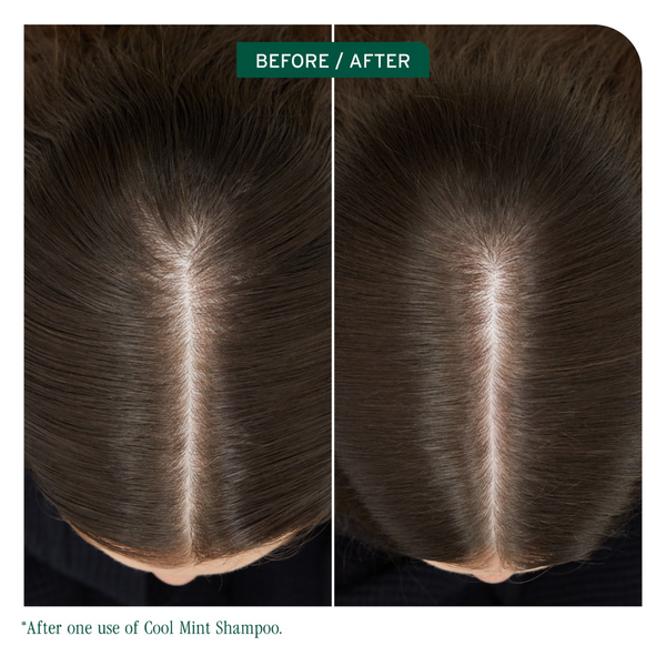 Biolage Cool Mint Shampoo 400ml